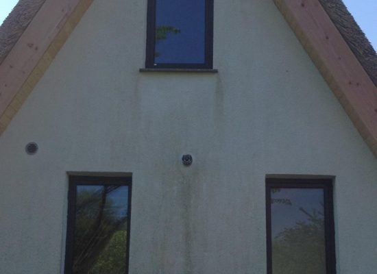 18557254_1462286307164506_5187368504605888906_n